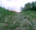 P1010008+.jpg