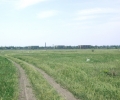 P1010032+.jpg